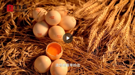 短(duǎn)視(shì)頻(pín)